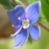 5c